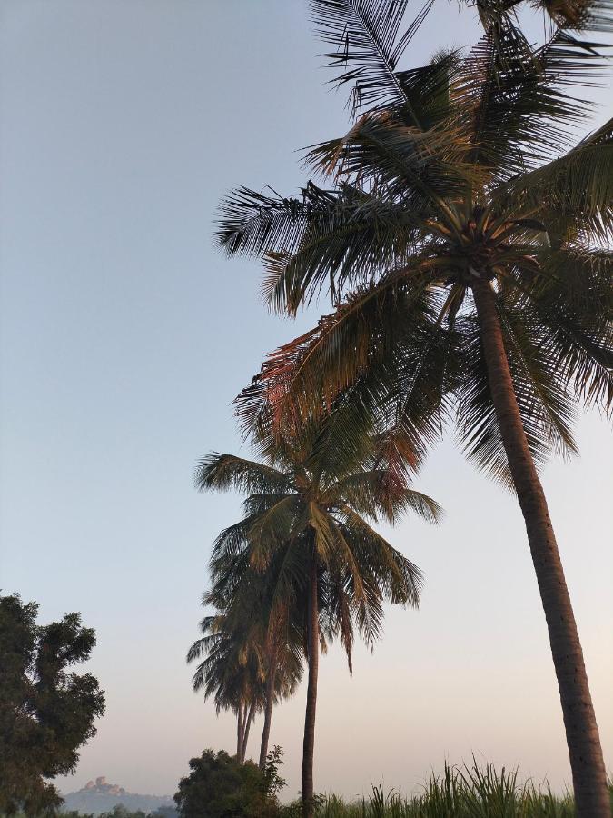 Prajwal Home Stay Hampi Buitenkant foto